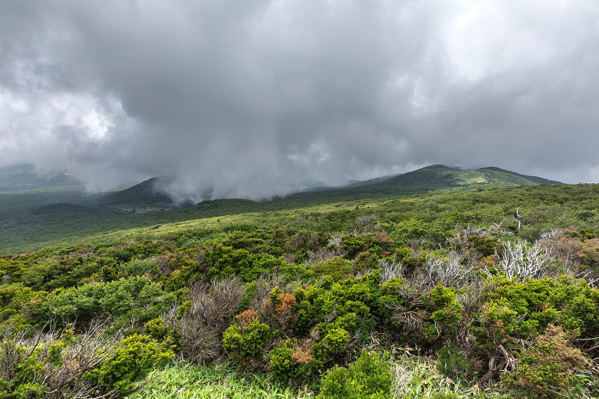 雲のかかる漢拏山国立公園